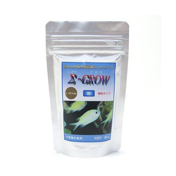 yz ǂ傤{B VO}EOE B ח^Cv ^Cp 60g EEws