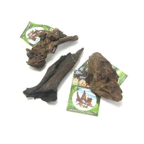 jb\[ R `󂨂܂ 3Zbg