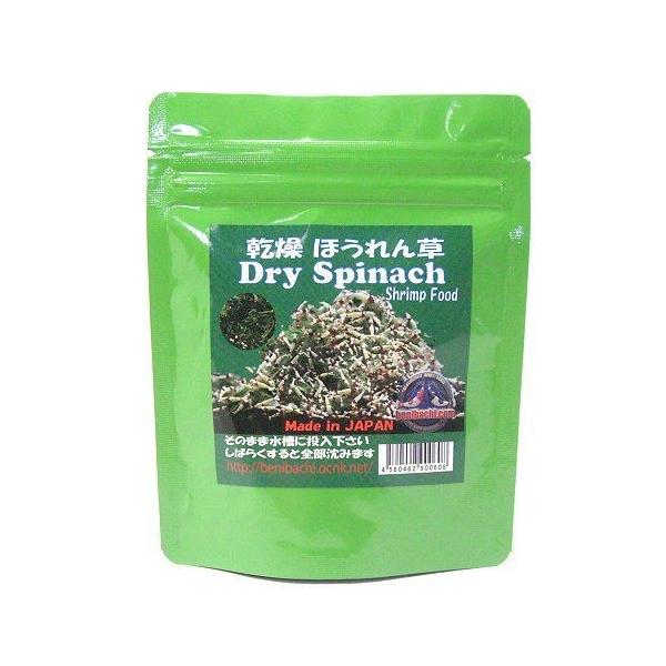 [֑Ή gI ق 20g S_ Vvt[h EGr̂ @EEws