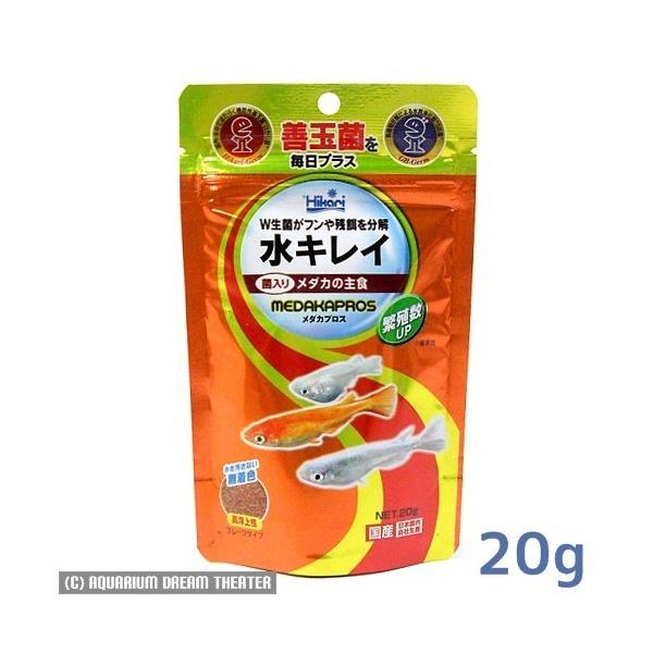 [֑Ή Ђ _JvX 20g X^hpbN i߂̃GT t[Nj @EEws