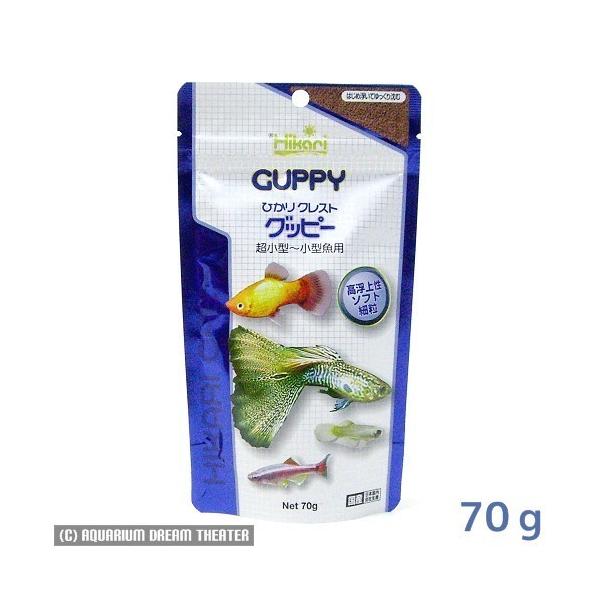 [֑Ή ЂNXg Obs[ X^hpbN 70g @EEws