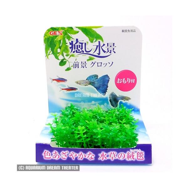 i Oi Ob\ t lH CAEg WFbNX