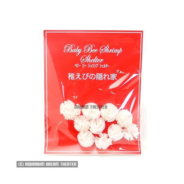 xr[ r[ Vv VF^[ 10 ytт̉B  z