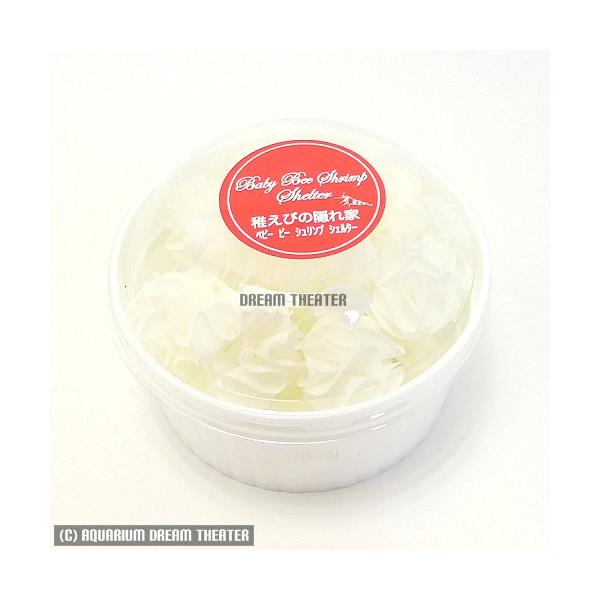 xr[ r[ Vv VF^[ 20 ytт̉B  z