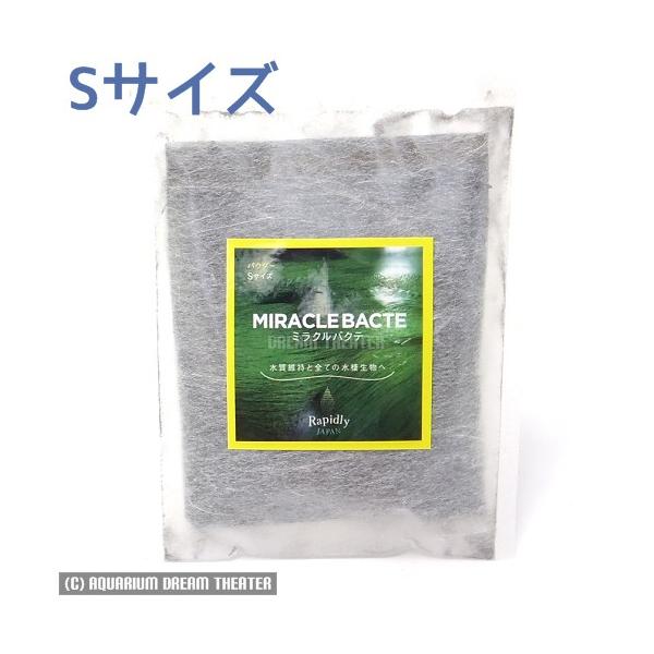 ~NoNe pE_[ STCY oNeA