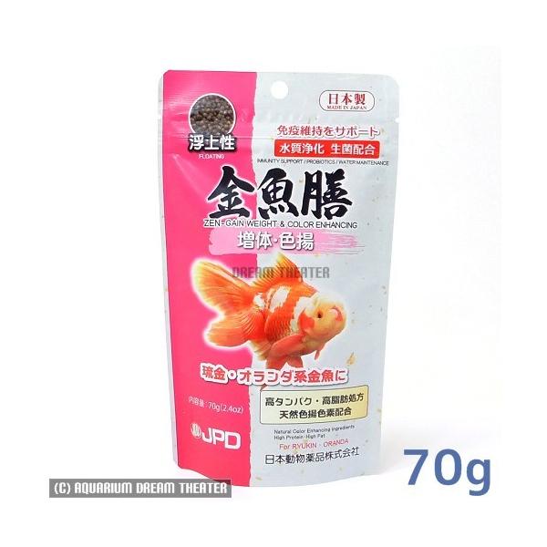 ǐՉ\[ V ́EFg 70g 㐫 ̃GT 񂬂̉a @EEws