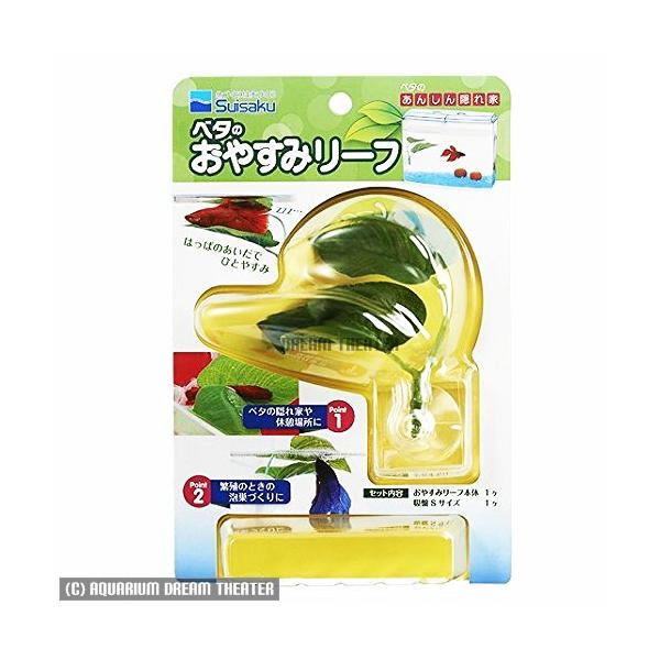  x^̂₷݃[t BƁEYEɐB