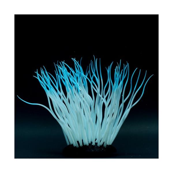 J~n^ 񂿂Ⴍ M u[ CAEg I[ig