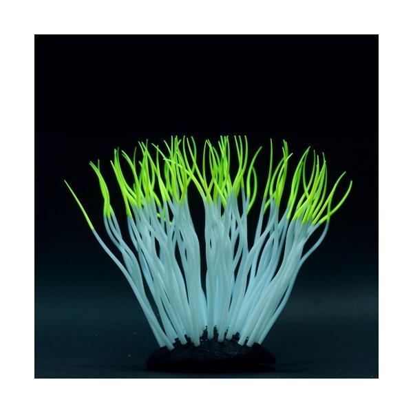 J~n^ 񂿂Ⴍ M CG[ CAEg I[ig