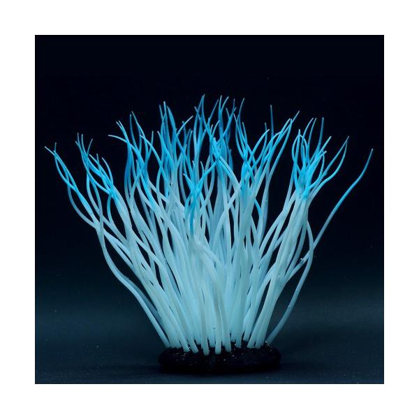 J~n^ 񂿂Ⴍ L u[ CAEg I[ig