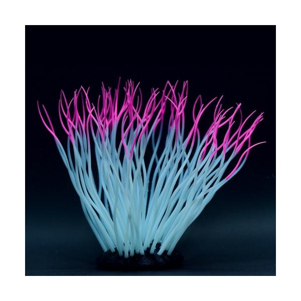 J~n^ 񂿂Ⴍ L sN CAEg I[ig