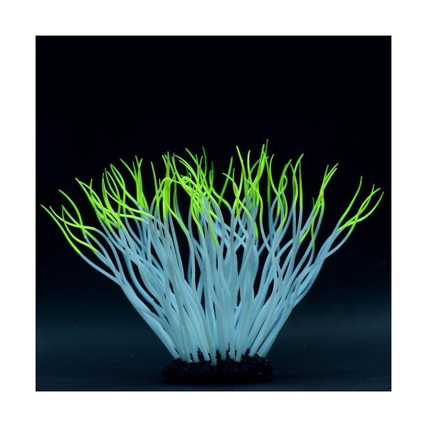 J~n^ 񂿂Ⴍ L CG[ CAEg I[ig