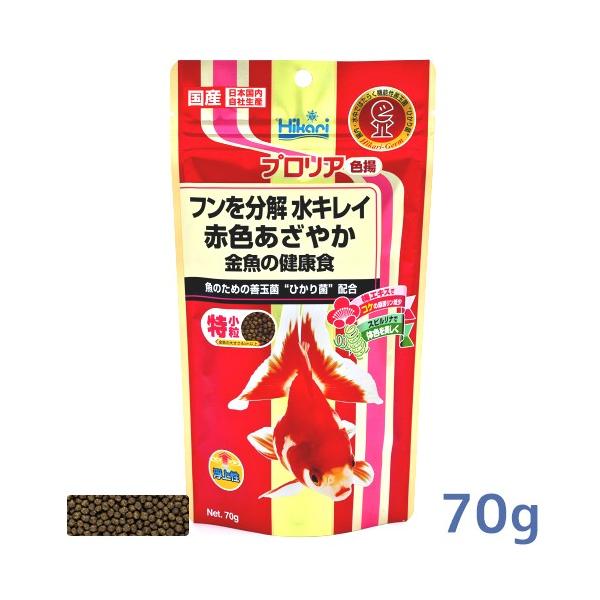 Ђ vA Fg 70g y񂬂̂EvAz