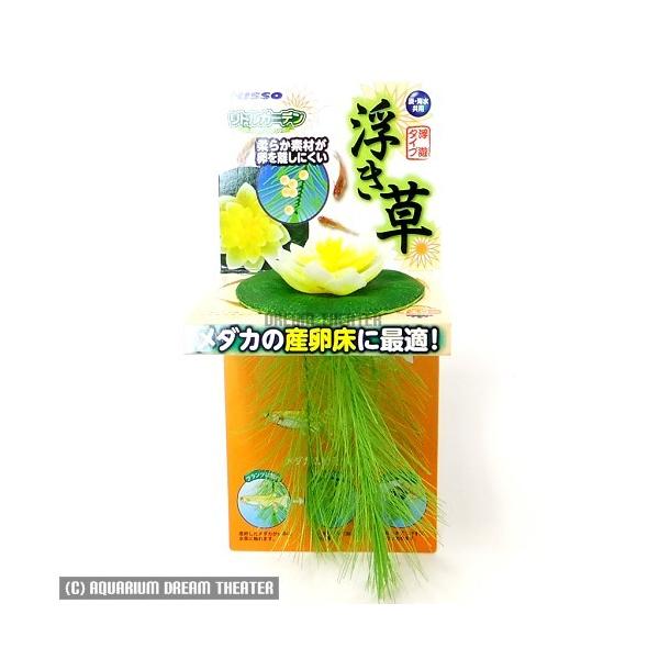 クリックポスト又はゆうパケットでの発送です。追跡可能メール便1個口に6個まで入ります。メダカの産卵床に最適 柔らか素材で産卵床にピッタリ！【ご使用方法】●ご使用の前に、流水で軽く水洗いして下さい。●水槽用プランツです。水槽に浮かせてお使いく...