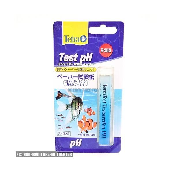 [֑Ή egeXg pHiy[n[j 70637 @EEws