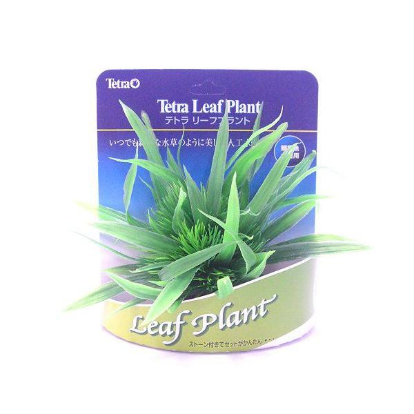 �e�g�� ���[�t�v�����g LP-6