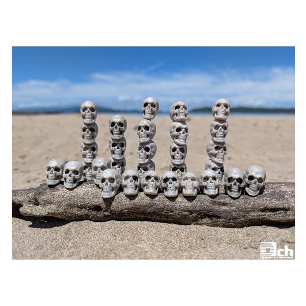 dreamchannel_dch-horror-22