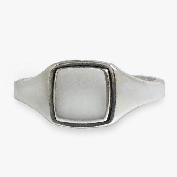 [J[񂹕i ANAVo[ Aqua Silver ASR-209F Vo[ VOlbgO w