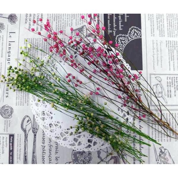 プリザーブドフラワー リンフラワーミニ Buyee Buyee Japanese Proxy Service Buy From Japan Bot Online