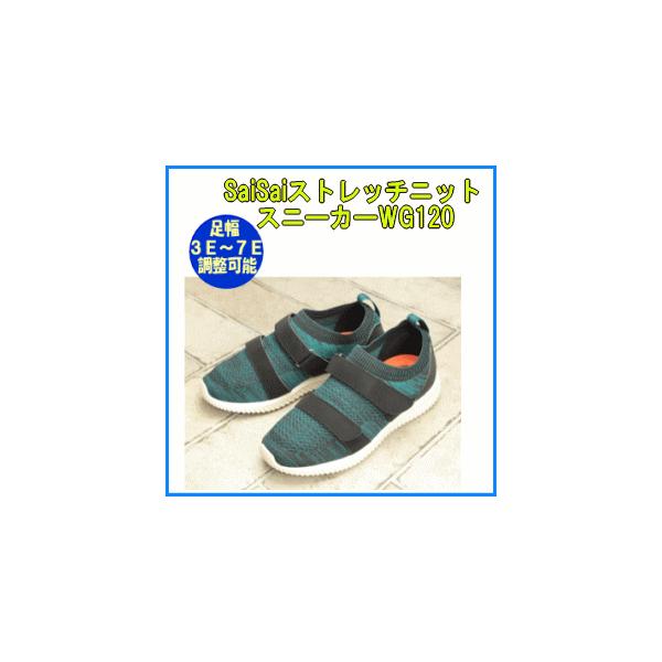 SaiSaiXgb`jbgXj[J[WG120 (CY3E`7E)  C ނ O hV̓
