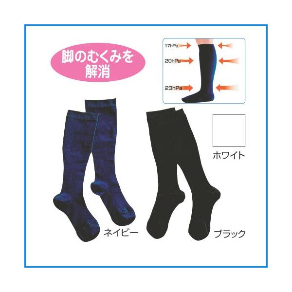 PAfBbNX@PAT|[g\bNX(jp)r̂ނ݉Ɂ@C C