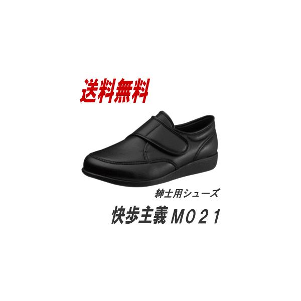 C V[Y ATqV[Y ` M021 jp hV̓