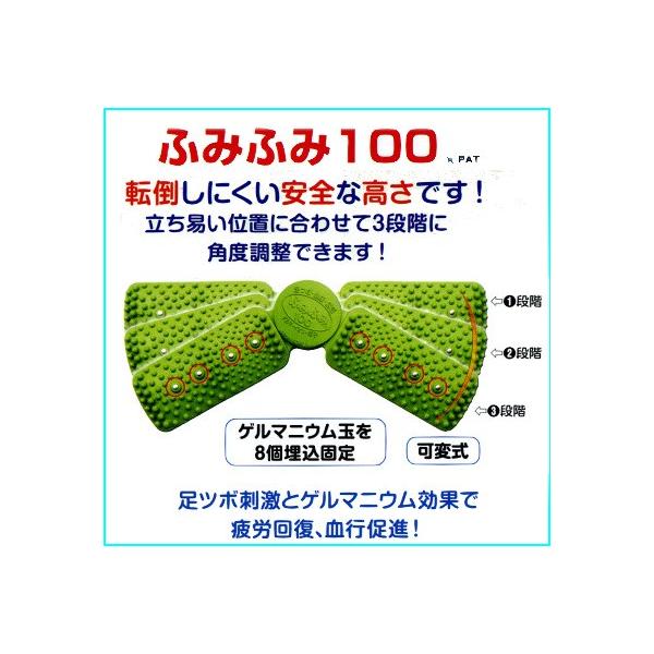 VGCeNm@SEQ}jE ڌN ӂ݂ӂ100@si s^ ^ }bT[W _CGbg c{  ̓