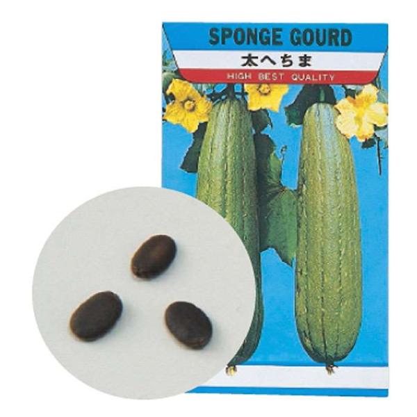 種 ヘチマの人気商品 通販 価格比較 価格 Com