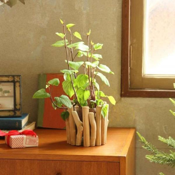 農業資材 ガーデニング用品 インテリア 流木 鉢の人気商品 通販 価格比較 価格 Com