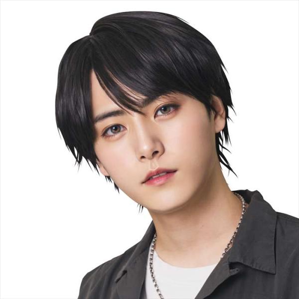 メンズウィッグ。ビジネスシーンからワイルド系まで揃うWIGGY RICHメンズシリーズ！しかもワックス、ドライヤー、手洗いＯＫでへアネット付き！価格もリーズナブル！ウィッグ内側のアジャスターでサイズの調節もできます。