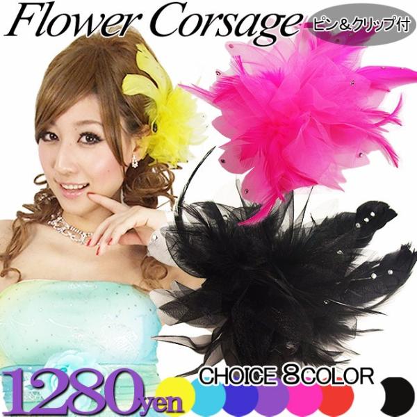 CXg[Ht RT[WEwbhhXyEp[eB[E񎟉E_XEobO z