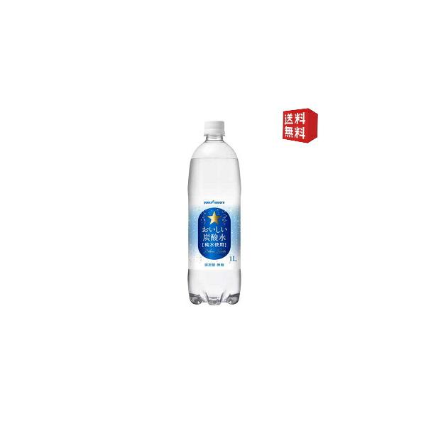 送料無料 ポッカサッポロ おいしい炭酸水 1000mlペットボトル 12本入 1Lサイズ 美味しい炭酸水
