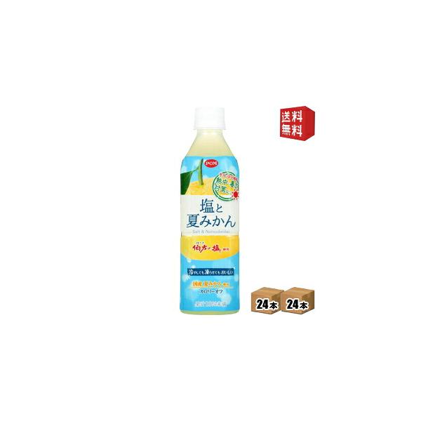 送料無料 えひめ飲料 POM ポン 塩と夏みかん 490mlペットボトル 48本 24本×2ケース 熱中症対策 北海道800円・東北400円の別途送料加算