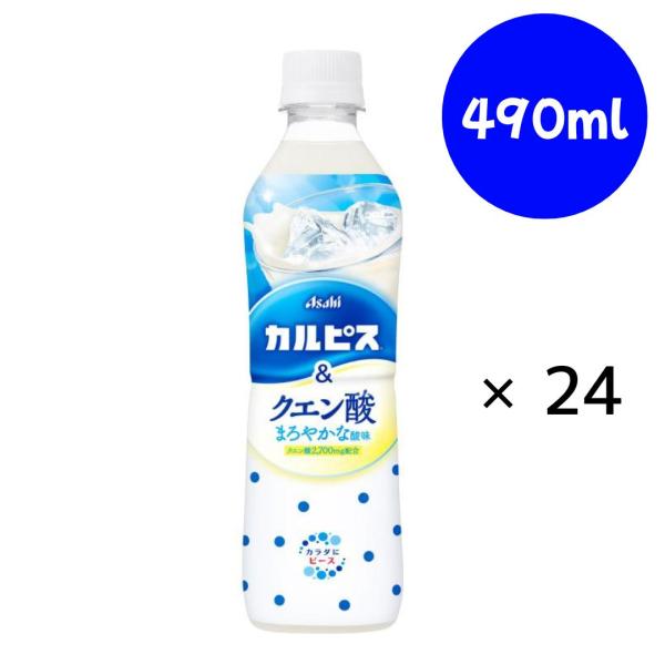 カルピス カルピス&クエン酸 PET 490ml×24本 『賞味期限：2026年11月30日』アサヒ