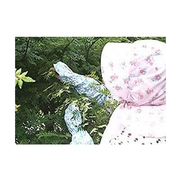 �R�� �ߘa�W�N�V�� ���q�R��200g�y�A�N�����ρE�}���ρz �Ⓚ ���R�� �������ρi�{�ꕺ�ɁE���s�E�ޗǁE�a�̎R���Y�j�k�C���E����ւ͕ʓr����1000�~�@ ���i�摜1
