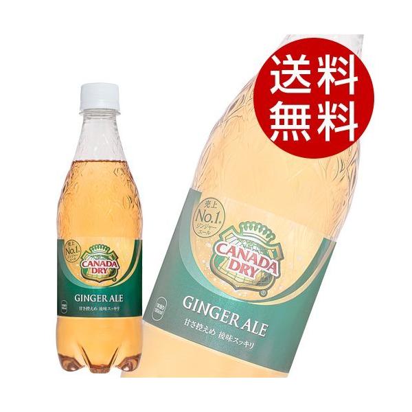 Coca Cola（コカコーラ） カナダドライ ジンジャーエール 500ml 48本