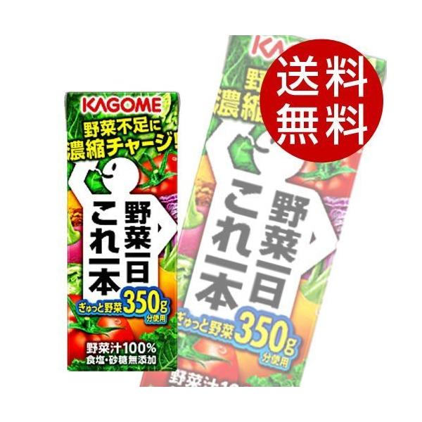 JS ؈{ 200ml 48{ (؃W[X Nu) wxkCEE