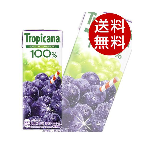 L gsJ[i 100 O[v 250ml×48{  KIRIN W[X ybg{g t[cW[Xwiꕔn揜jx