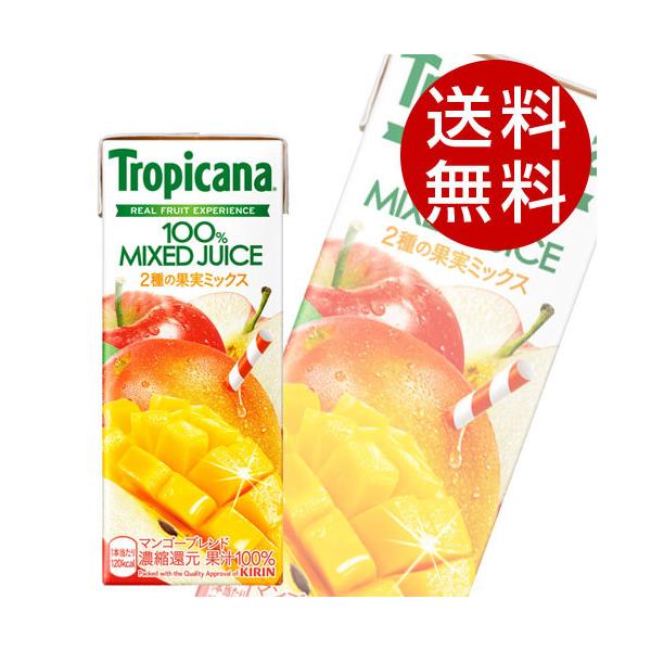 L gsJ[i100}S[uh 250ml×48{  KIRIN W[X pbN t[cW[Xwiꕔn揜jx