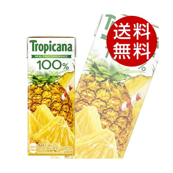 L gsJ[i 100 pCAbv 250ml×48{  KIRIN W[X ybg{g t[cW[X