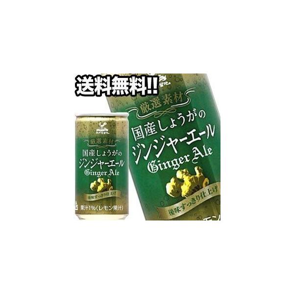 _ˋn Y傤̃WW[G[ 185ml×20{  [ܖF4ȏ]  []  y711o׊Jnz