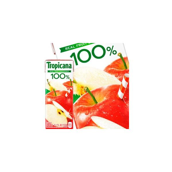 L gsJ[i 100 Abv 250mlpbN×24{mܖF2ȏnmny3`4cƓȓɏoׁz