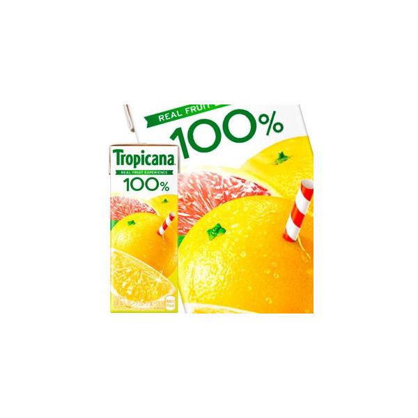 L gsJ[i 100 O[vt[c 250mlpbN×96{m24{×4nmܖF2ȏnmny3`4cƓȓɏoׁz