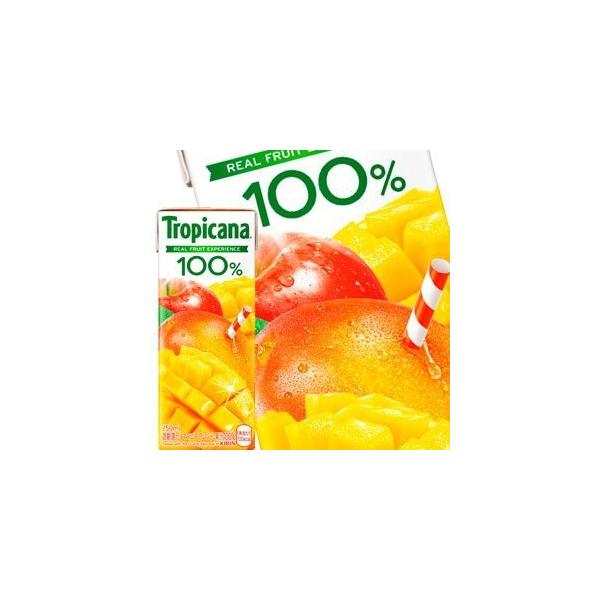 L gsJ[i 100 }S[uh 250mlpbN×24{mܖF2ȏnmny3`4cƓȓɏoׁz