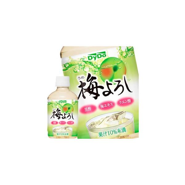 _Ch[ ~낵 280mlPET×48{ 24{×2  ܖF4ȏ   y7`10cƓȓɏoׁz