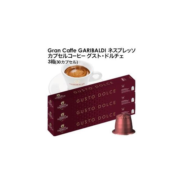 GARIBALDI KofB C^AY lXvb\ ݊ JvZR[q[ OXgEh`Fx3(30JvZ)[Ki]y1`2cƓȓɏoׁz[]