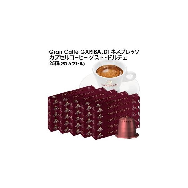 GARIBALDI KofB C^AY lXvb\ ݊ JvZR[q[ OXgEh`Fx25(250JvZ)[Ki]y1`2cƓȓɏoׁz