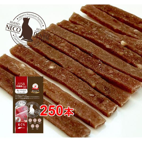 {Y Lp ˂ł񂽂 _ۃvX Premium100 ܂qdLevelPr250{(10{×25)Y/f^K/o[hpubN@