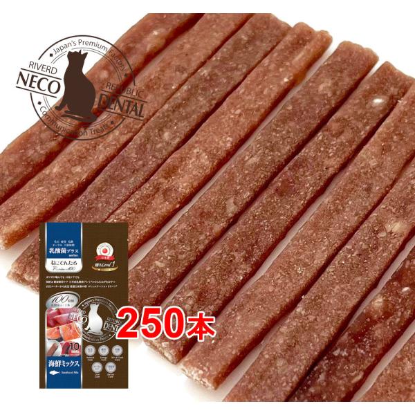 {Y Lp ˂ł񂽂 _ۃvX Premium100 CN~bNXqdLevelPr250{(10{×25)Y/f^K/o[hpubN@