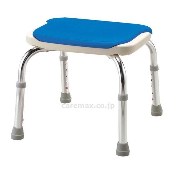 y@lE{݌Eʓrz(S0300)V[x`CPE-NwȂ/536-310u[(cm-220035)[̔P:1]